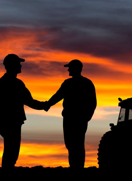 shaking hands at sunset