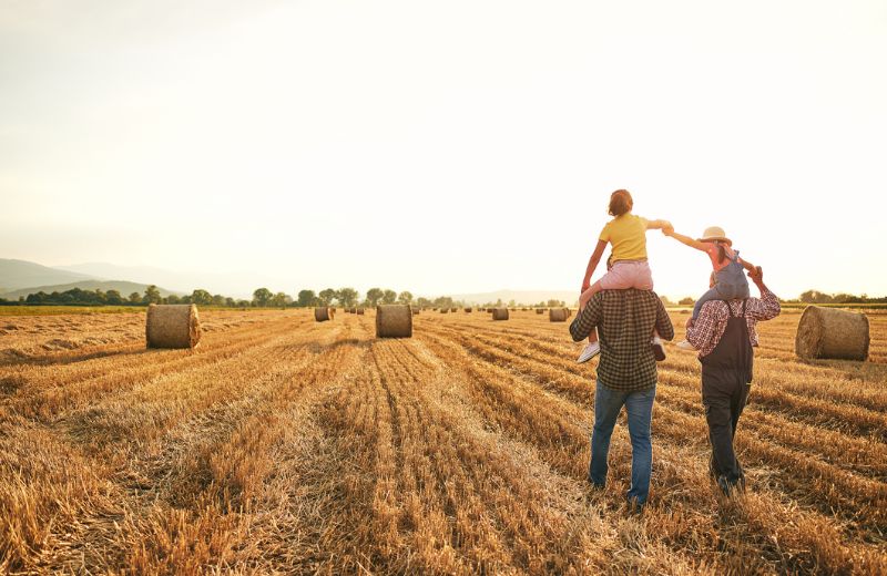 Agriculture Farming