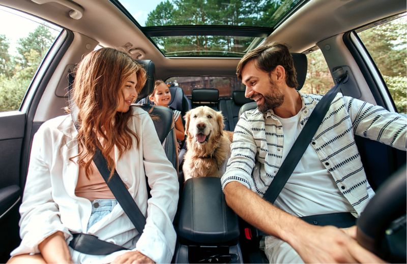 family in car together with dog