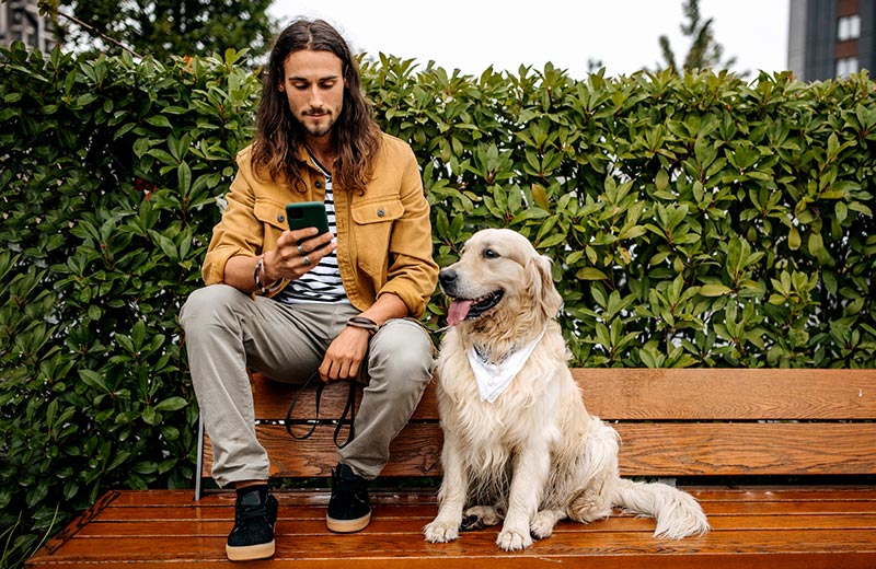 Guy using phone on a bench with his dog