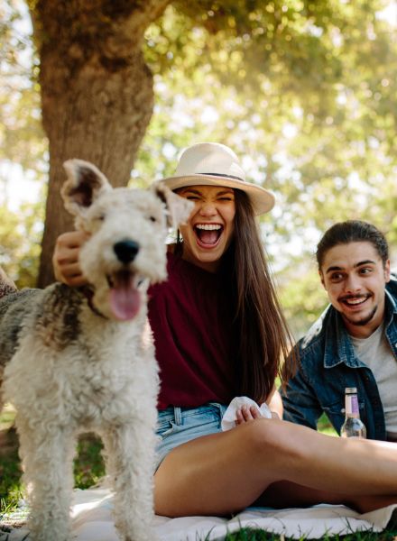 couple enjoying time at the park with dog