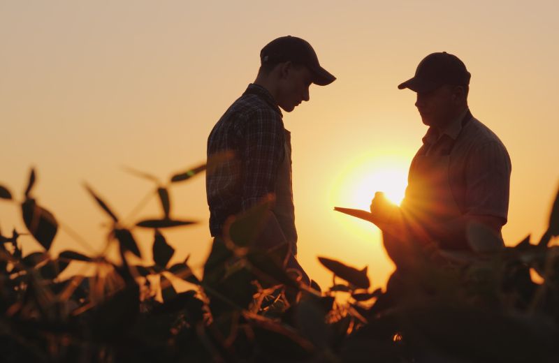 two farmers having conversation