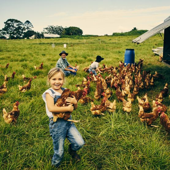 little girl holding chickens