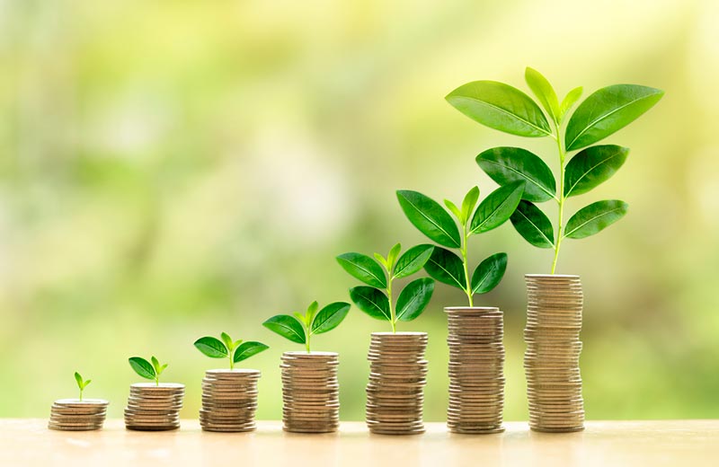 Plants and coins in a growing stack.