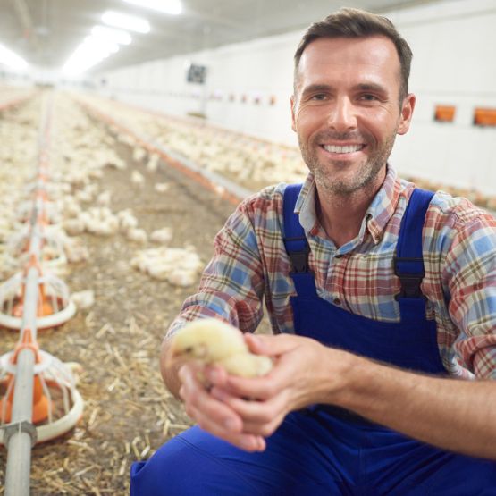 man posing with baby chick in chicken houses