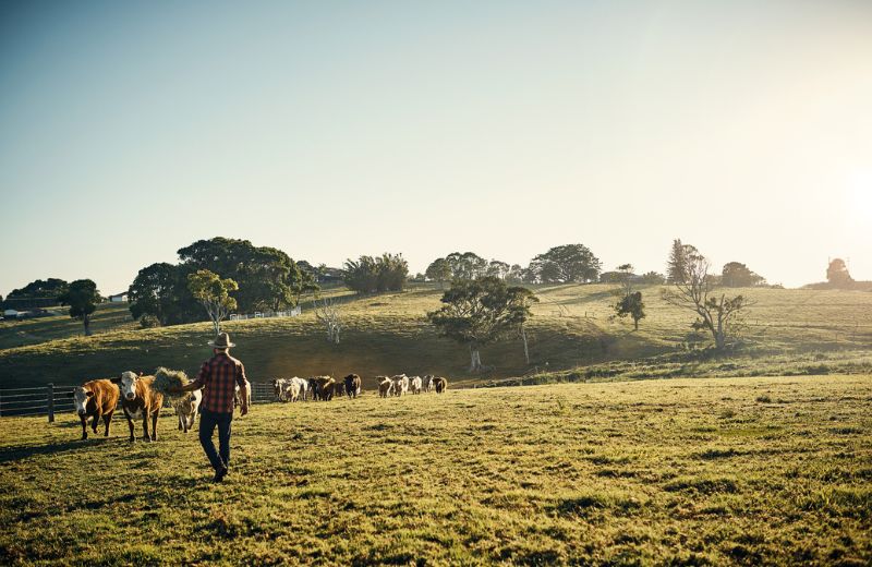 man working land