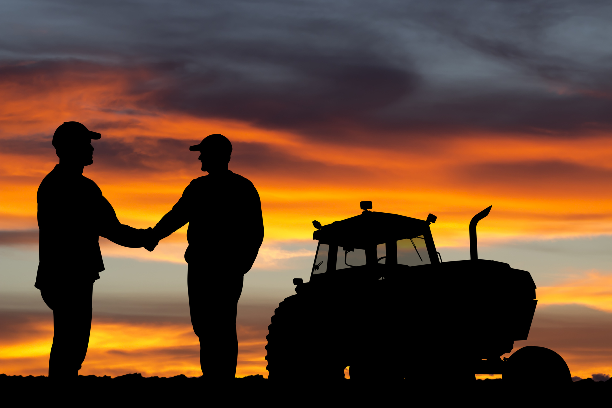 farmers shaking hands at sunset