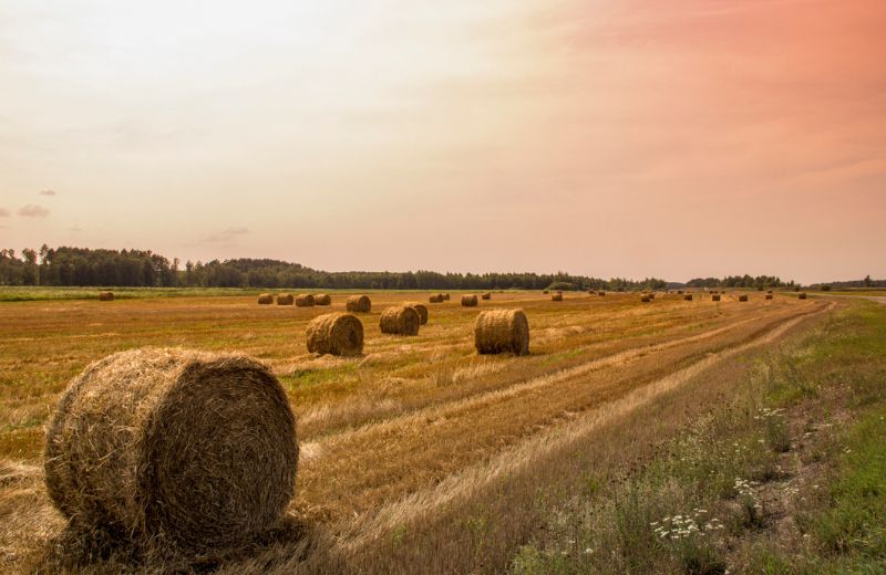 ag loans blog