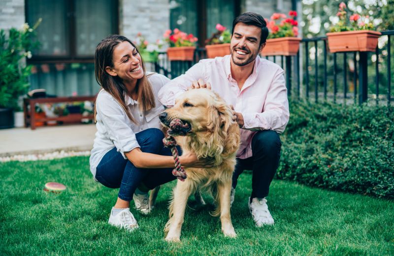 New home for small family and the family dog